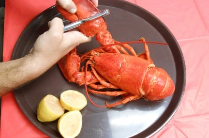 King Kooker Seafood Cracker 2 King Kooker Seafood Cracker